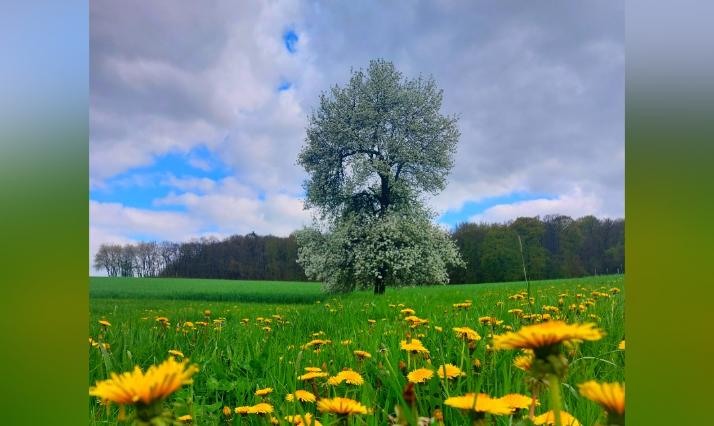 Mai 2023 Natur 3