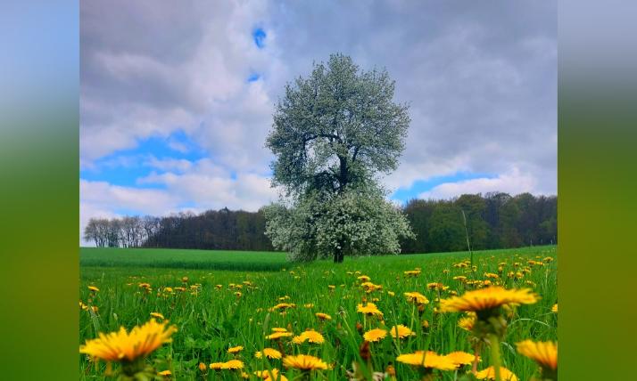 Mai 2023 Natur 3