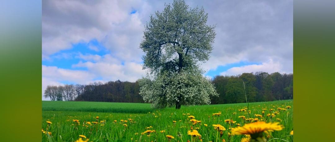 Mai 2023 Natur 3