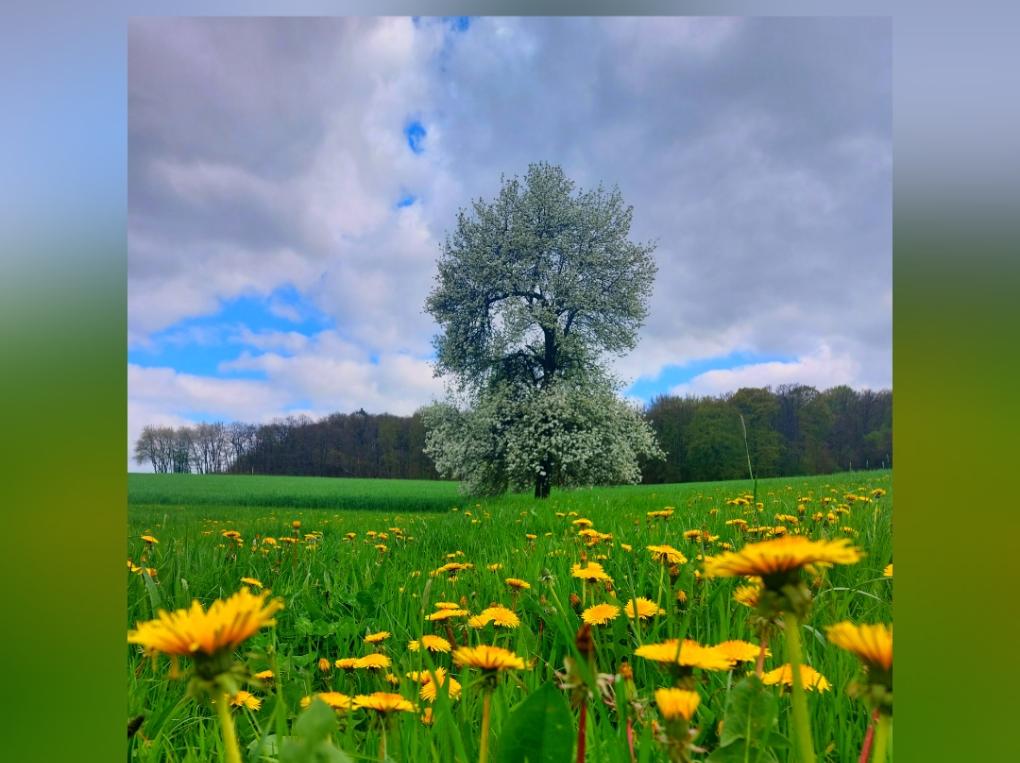 Mai 2023 Natur 3