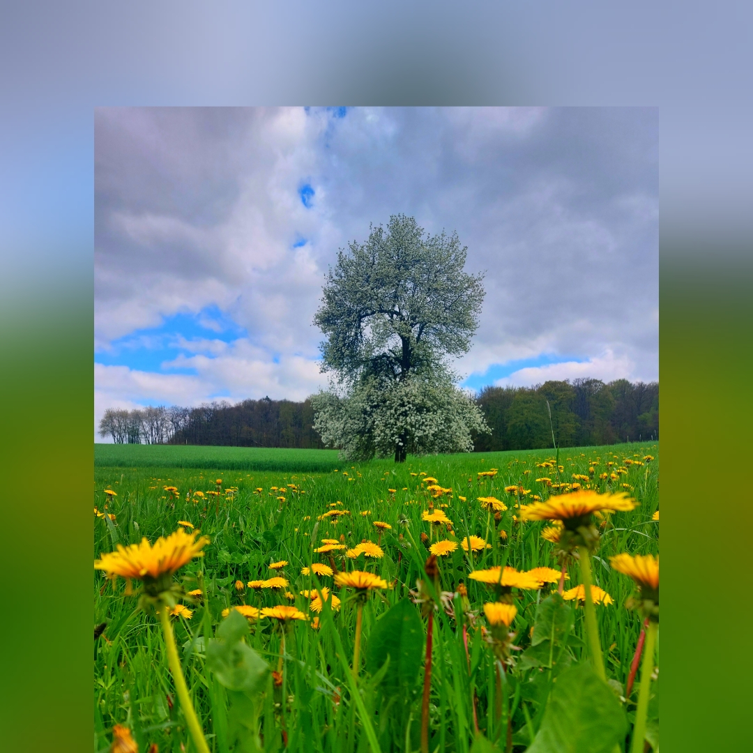 Mai 2023 Natur 3