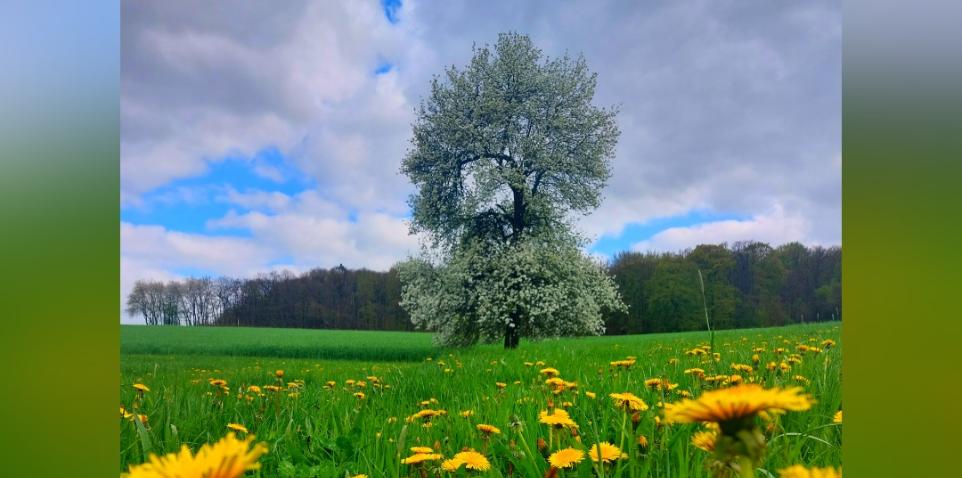 Mai 2023 Natur 3